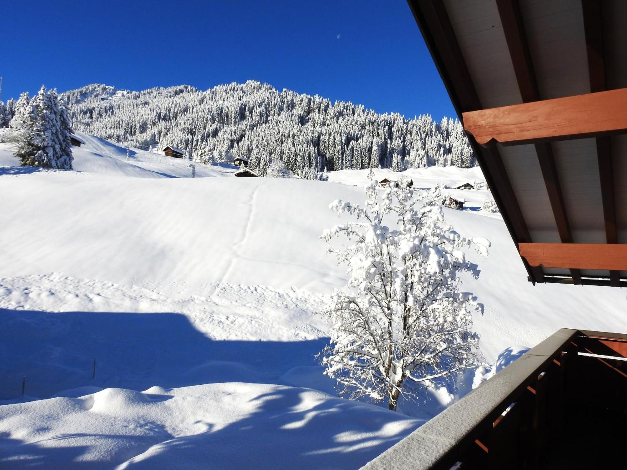 ヒルシュエックHaus Berg & Talアパートメント エクステリア 写真